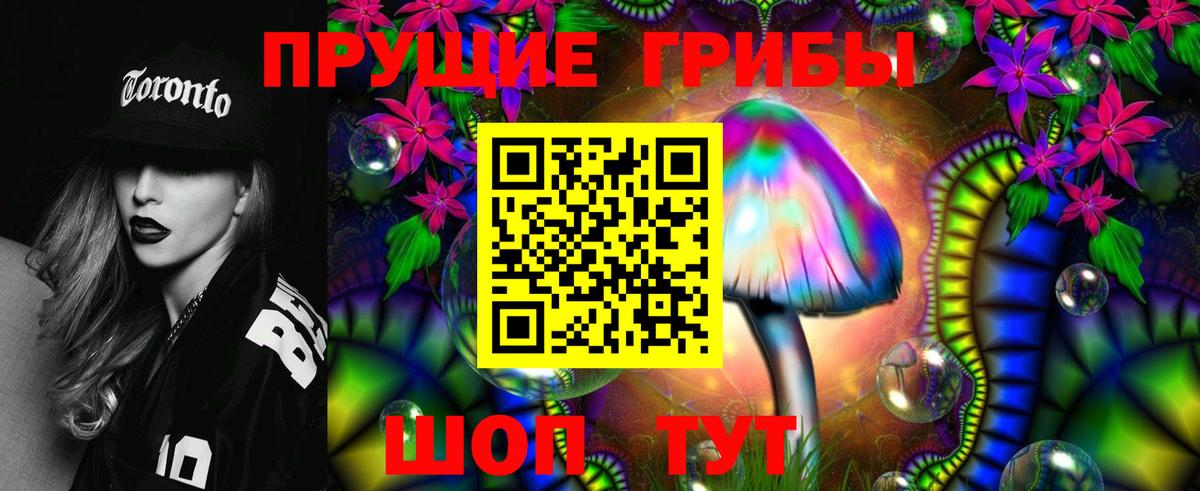Верхняя Пышма  Галлюциногенные грибы MAGIC MUSHROOMS  Вход с VPN 