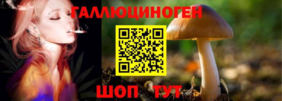 Псилоцибиновые грибы мицелий Верхняя Пышма